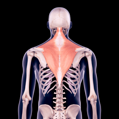 Untitled design (11)